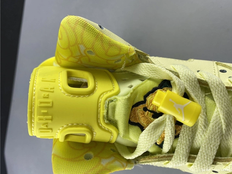 Air 6 Jordan   543390-800  1027